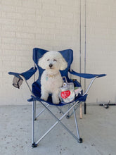 Load image into Gallery viewer, Bait Basket with 2 in 1 Squeaky Hide &amp; Seek Toy
