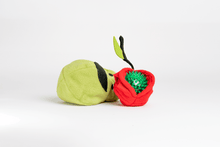 Load image into Gallery viewer, Ball in a Fruit Toy - WAGSUP
