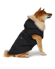 Load image into Gallery viewer, Barnard Quilted Dog Jacket
