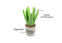 Load image into Gallery viewer, Blooming Buddies Aloe-ve You Plant - WAGSUP
