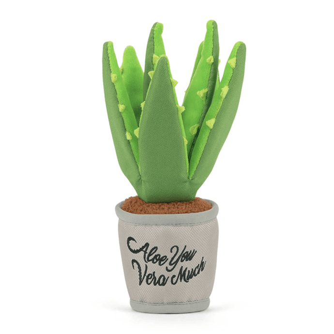 Blooming Buddies Aloe-ve You Plant - WAGSUP