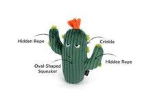 Load image into Gallery viewer, Blooming Buddies Prickly Pup Cactus - WAGSUP

