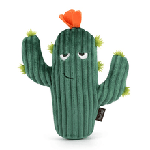 Load image into Gallery viewer, Blooming Buddies Prickly Pup Cactus - WAGSUP
