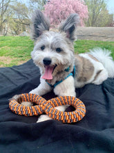 Load image into Gallery viewer, Braided 11&quot; Infinity Tug (Orange &amp; Grey) - WAGSUP
