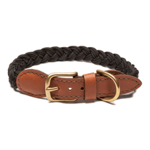 Load image into Gallery viewer, Braided Classic Collar - WAGSUP
