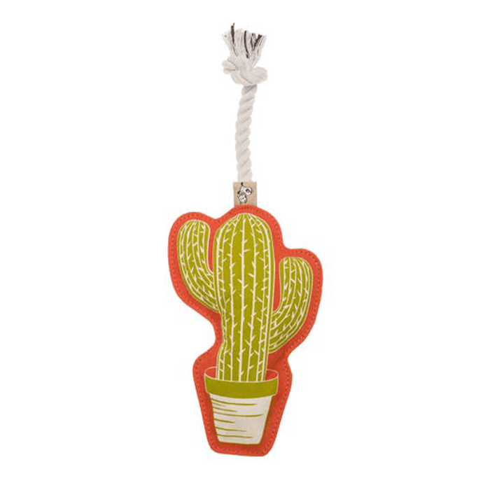 Cactus Rope Toy