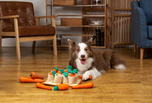 Load image into Gallery viewer, Carrot Patch Snuffle Toy
