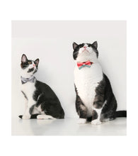 Load image into Gallery viewer, Cat Bow Tie Collar (Block Fauvism)
