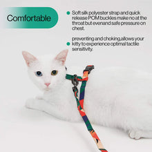 Load image into Gallery viewer, Cat Harness and Leash Set (Black and White Stripes)
