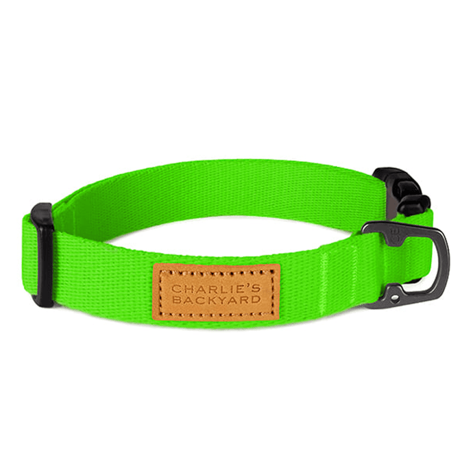 Field Collar (Neon Green)