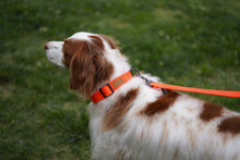 Load image into Gallery viewer, Field Collar (Neon Orange)
