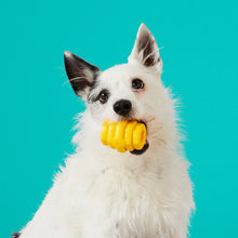 Load image into Gallery viewer, Hive Chew Toy for Small Dogs
