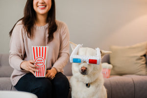 Hollywoof Cinema 3-Dog Glasses