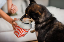 Load image into Gallery viewer, Hollywoof Cinema Poppin&#39; Pupcorn
