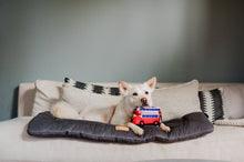 Load image into Gallery viewer, Canine Commute Lickety-Split Bus

