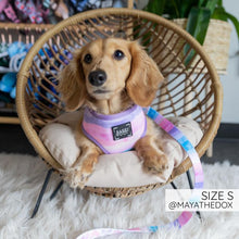 Load image into Gallery viewer, Love Actually Reversible Dog Harness
