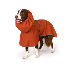 Load image into Gallery viewer, Park Raincoat (Brick Red)
