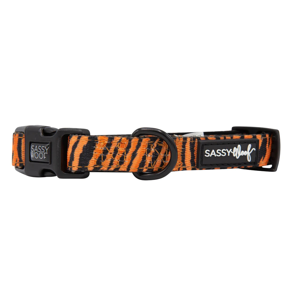 Paw of the Tiger Dog Collar – WAGSUP