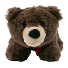 Load image into Gallery viewer, Plush Bandana Bear Squeaker Toy 5&quot;
