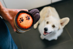 Pup Cup Cafe Doggo's Java