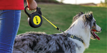 Load image into Gallery viewer, Reflect Retractable Tape Leash (Black)
