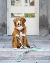 Load image into Gallery viewer, Rope Leash - Mint
