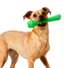 Load image into Gallery viewer, Scented Coconut Hive Fetch Stick Dog Toy
