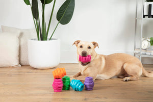 Scented Lavender Hive Chew for Large Dogs