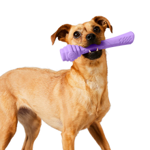 Load image into Gallery viewer, Scented Lavender Hive Fetch Stick Dog Toy
