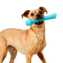 Load image into Gallery viewer, Scented Vanilla Hive Fetch Stick Dog Toy
