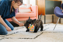 Load image into Gallery viewer, Snack Attack Lollipup
