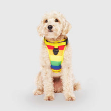 Load image into Gallery viewer, The Everthing Harness Water-Resistant Rainbow

