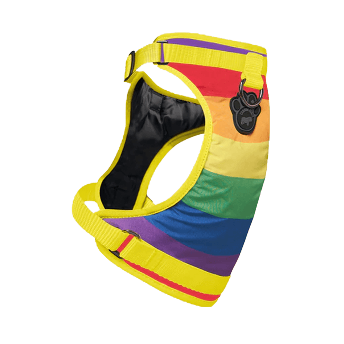 The Everthing Harness Water-Resistant Rainbow