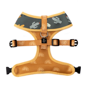 The Looking Sharp Harness