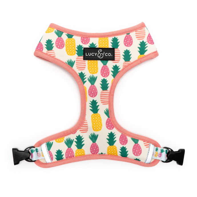The Poolside Chillin Reversible Harness