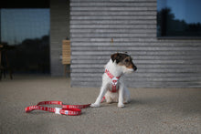 Load image into Gallery viewer, Trip Leash (Red-One Size)
