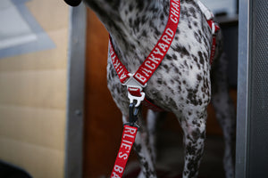 Trip Leash (Red-One Size)