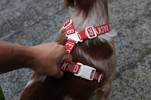 Trip Harness (Red)