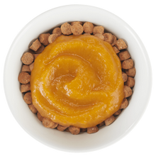 Load image into Gallery viewer, Tummy Topper Pumpkin Puree &amp; Ginger 1.5oz
