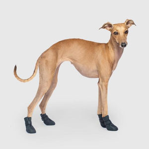 Unlined Wellies Dog Boots (Black)