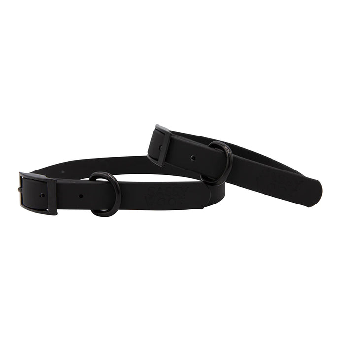 Waterproof Dog Collar Black