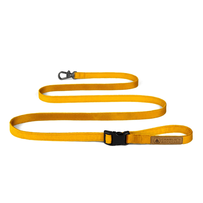 Easy Leash (Yellow-One Size)